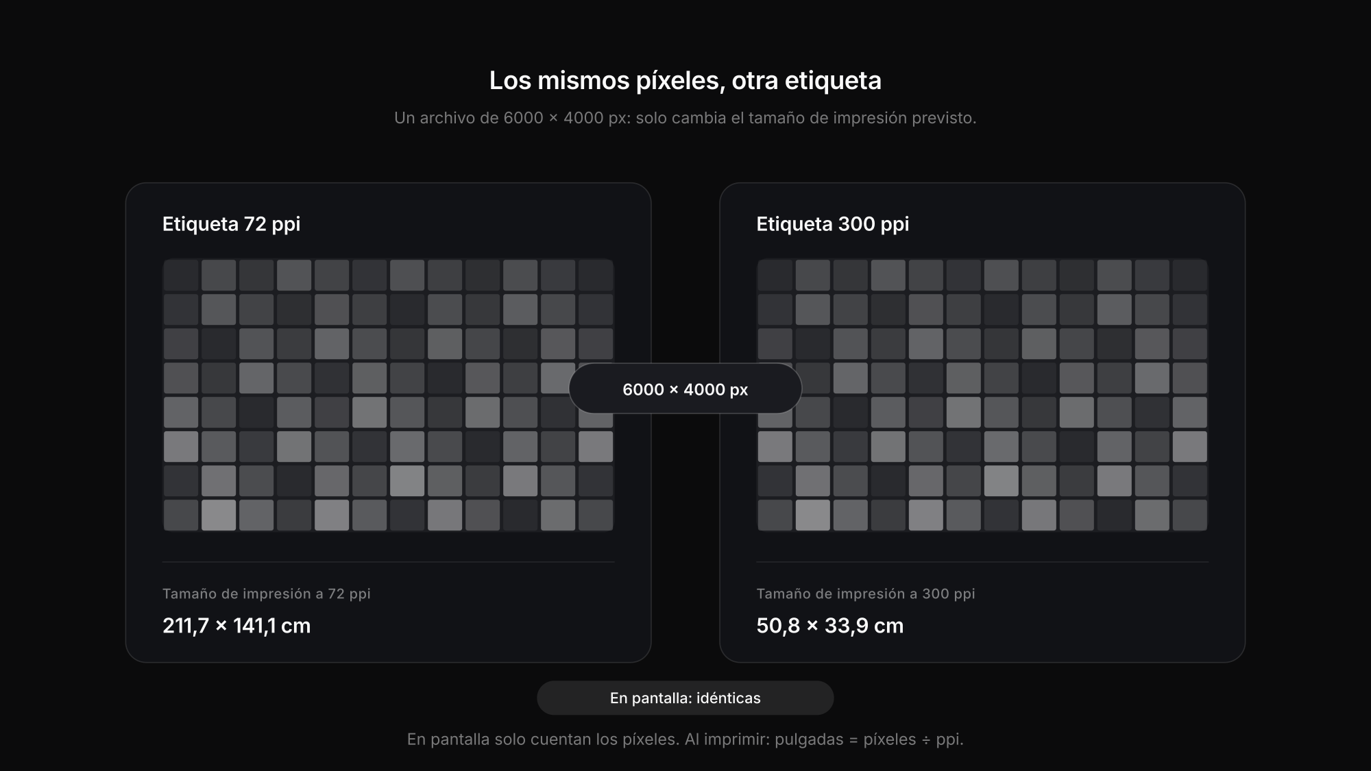 DPI y PPI: la misma imagen de 6000 × 4000 píxeles etiquetada a 72 ppi y a 300 ppi contiene píxeles idénticos