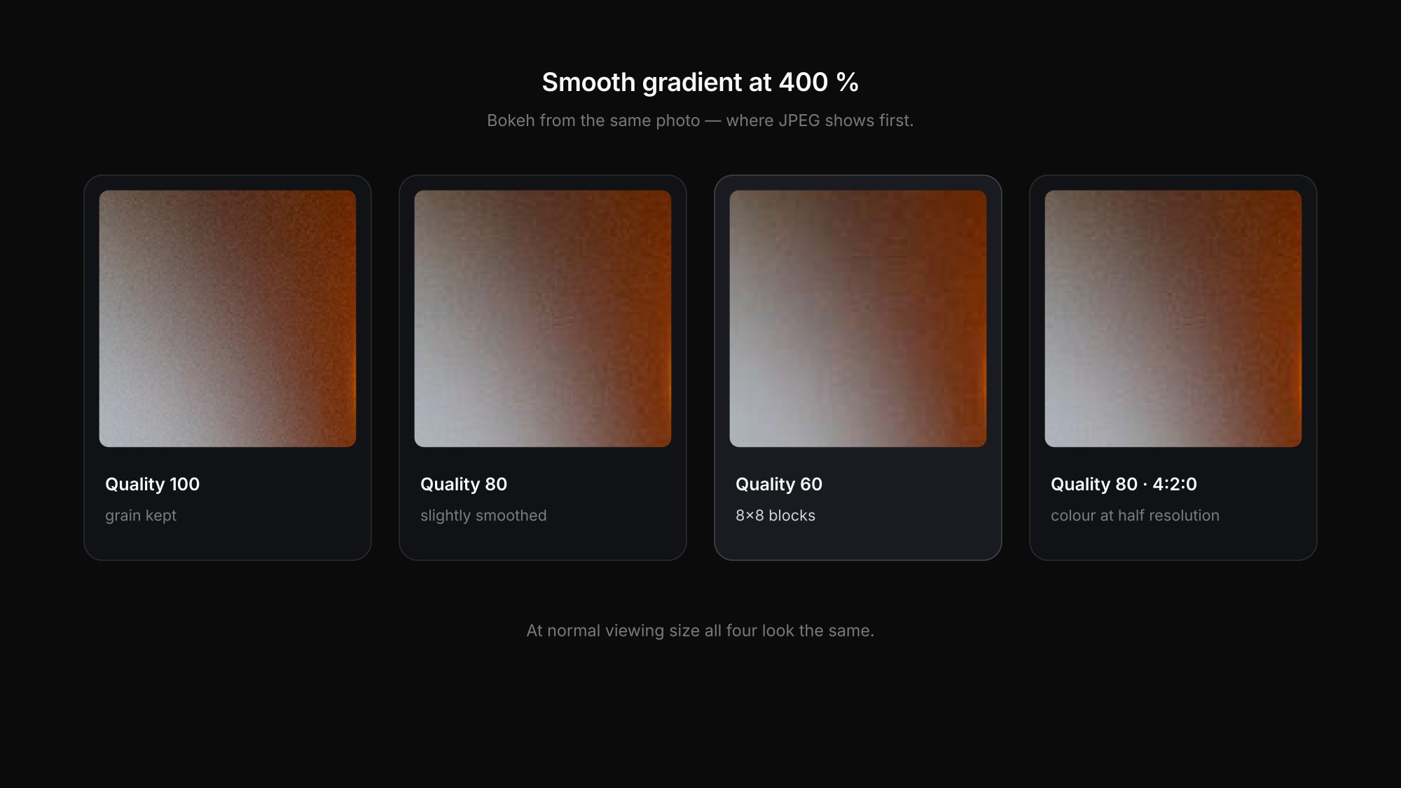 JPEG quality 100 vs 80 vs 60 at 400 percent: grain in a smooth bokeh gradient is kept at 100, smoothed at 80 and turns into blocks at 60