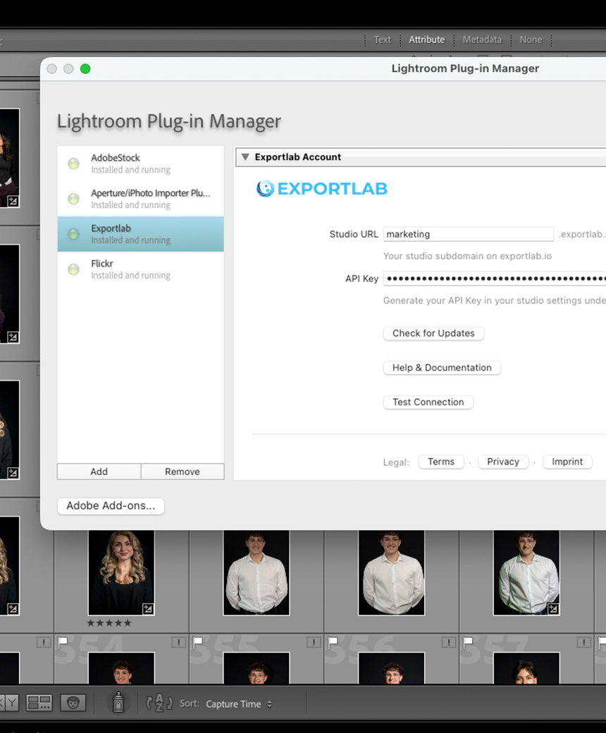 Enter Studio URL and API Key