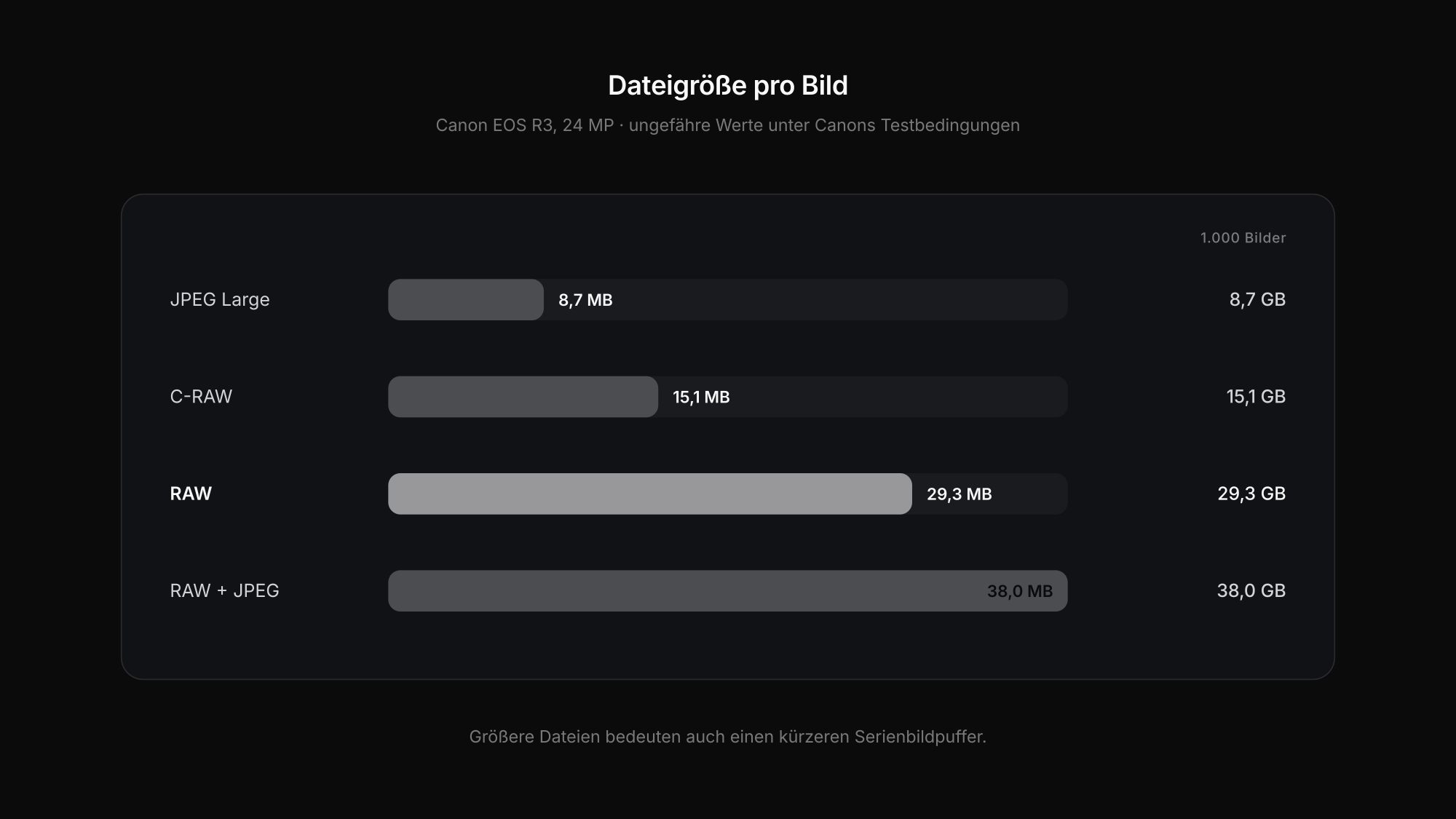 RAW oder JPEG: Dateigröße und Serienbildpuffer im Vergleich bei einer 24-Megapixel-Kamera