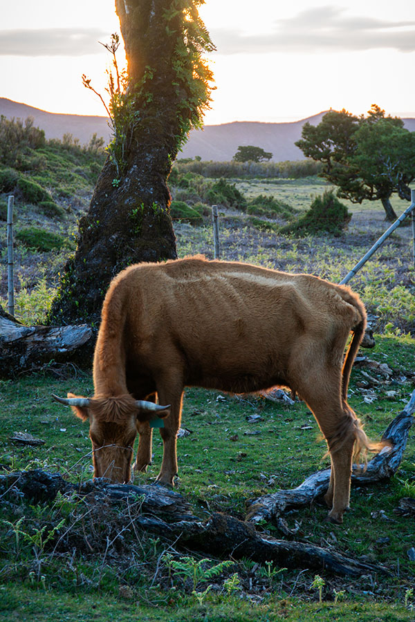 AI workflow slide 11